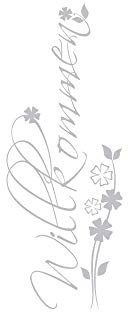 GRAZDesign Glastür Aufkleber Flur Eingang Willkommen Spruch, Fensteraufkleber Glas, Fenster Fenstertattoo - 79x30cm / Silbergrau