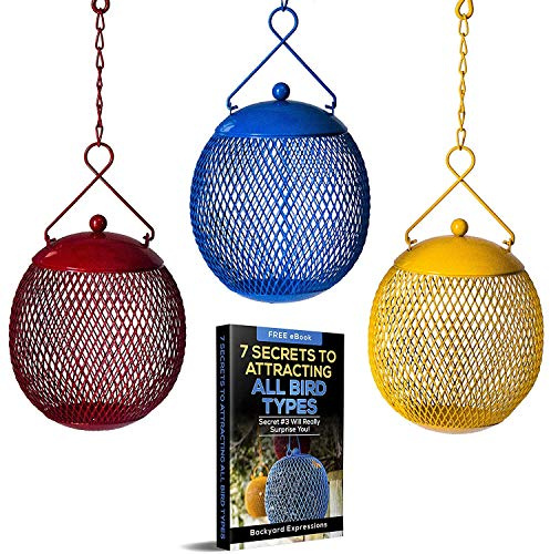 Backyard Expressions - Set of 3 Squirrel Proof Bird Feeders for Outside - Bonus Ebook and Bird Attraction Audio Included - Squirrel Resistant Bird Feeders