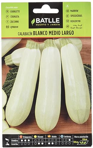 Batlle Vegetable Seeds - Courgette Blanco Medio Largo (8g)