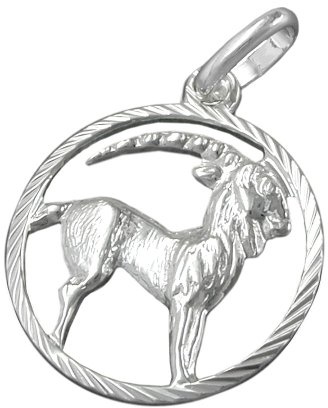 Kettenanhänger Silberanhänger für Halskette Unisex Anhänger Sternzeichen Steinbock 925 Silber 15 mm inkl. kleiner Schmuckbox