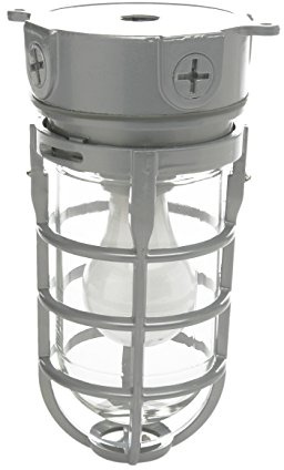 Woods L1706 Vandal Resistant Security Light With Ceiling Mount (150W Incandescent Bulb; Silver)