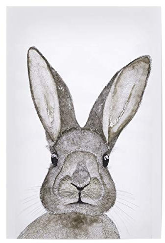 artboxONE Poster 30x20 cm Natur Hase hochwertiger Design Kunstdruck - Bild Rabbit hase Kaninchen