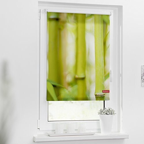 Lichtblick Klemmfix Tageslicht-Rollo mit Motiv, ohne Bohren, Blickdicht, Seitenzugrollo, Made in Germany, Bambus - Grün 60 x 150 cm (B x L)