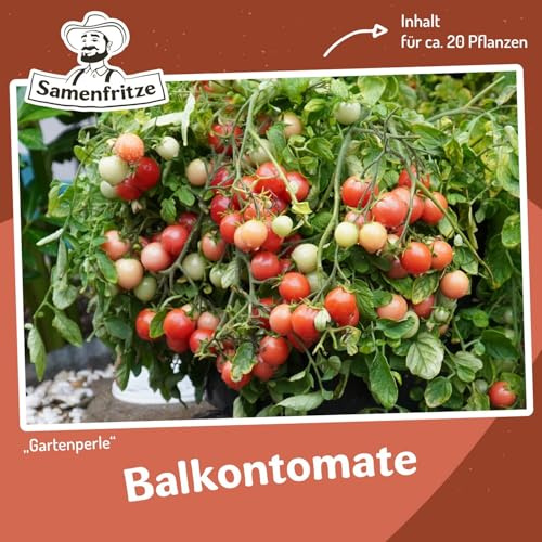 Gartenperle Tomatensamen