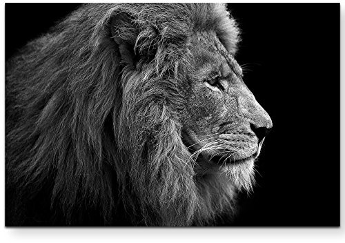 Eau Zone Wandbild auf Leinwand 120x80cm Portrait Löwe schwarz/weiß