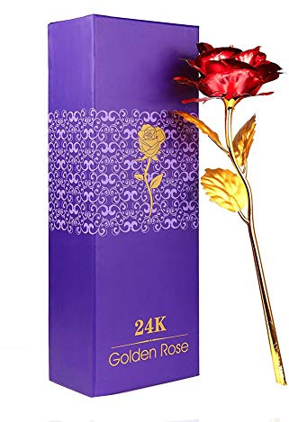 WeFoonLo Creative Künstliche 24K Gold Rose Blume Kunststoff Lange Stiel echte Rose in Gold mit Geschenkbox für Muttertag, Valentinstag, Geburtstag, Thanksgiving Day eingetaucht (Rot + Gold)