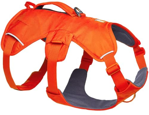Ruffwear Web Master Hundegeschirr, Y-Front-Hundegeschirr mit Griff und verbesserter Schnalle, verstellbar und leicht für Spaziergänge und Wanderungen, fluchtsicher, kein Ziehen, Blaze Orange, Größe S | Drei-Riemen-Stil verhindert das Herausziehen, seitliche Halsschnalle, Griff zum Anheben und Unterstützen