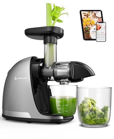 AMZCHEF Macchina per spremiagrumi a freddo – Sistema inverso al 90% delle prestazioni, motore silenzioso per casa e colazione, pulizia in 3 fasi con spazzola per polvere, include più di