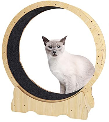 Katzenlaufrad, großes Katzenlaufrad mit Sicherungsstift, Katzenlaufrad mit Teppichboden für Hauskatzen, Katzenlaufrad mit Bremse (Größe: 113 x 36 x 120 cm)