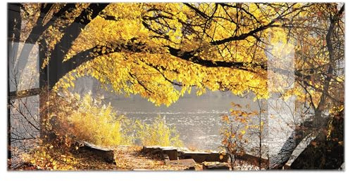 timalo Küchenbild aus Acrylglas modernes Wandbild Glasbild Deko Küche XXL Acryl-Bild wie Glas | 120x60cm Wald Herbst am See goldene Blätter Natur