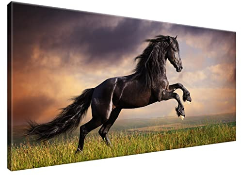 Estika Leinwand bilder - Schwarzes Pferd, Wiese - 115x55 cm, 1 teilige kunstdruck - Wandbilder wohnzimmer, schlafzimmer, Moderne wanddeko, Bild auf leinwand - Tiere bilder - 1149A_1AE