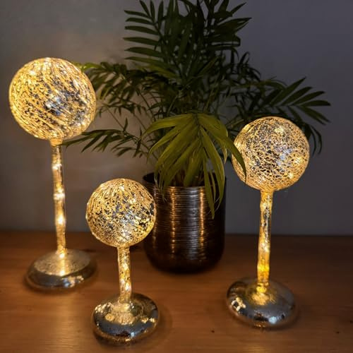 Online Fuchs 3 LED Glaskugeln mit Standfuß, integrierter LED-Lichterkette und 6-Stunden Timer - Stimmungslicht, Dekolicht (Silber)