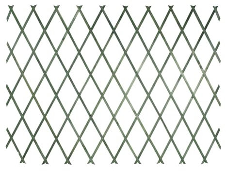 VERDELOOK Traliccio Estensibile in Legno, 100x200 cm, Verde, Decorazioni terrazza