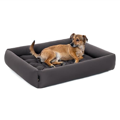 Pointer | Hundebett Große Hunde - Orthopädisches Hundebett mit Herausnehmbarer Matratze, Waschbar bis 95°C, Trocknergeeignet, Kratzfest & Bissfest, Made in Germany (XXL - 100x90 cm, Anthrazit)
