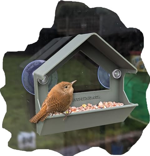 Small Lightweight Window-Mounted Bird Feeder Station – Recyclable PLA Plastic with Strong Suction Pads | Ideal for Small Garden Birds