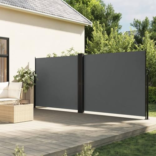 Rantry Toldo lateral extensible, opaco, estor lateral, protección solar, para balcón, jardín y terraza, 180 x 600 cm, antracita