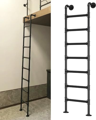 ZENSTYW Wandmontierte Metall Dachbodenleiter,Robuste Notausstiegsleiter Für Fensterschächte,Schwere Feuerflucht-Leiter,150 Kg Tragkraft,Für Innen- Und Außenbereich(2.9m/9.5ft)