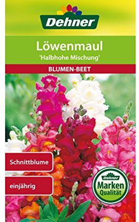 Dehner Blumen-Saatgut, Löwenmaul, Halbhohe Mischung, 5er pack (5 x 0.6 g)
