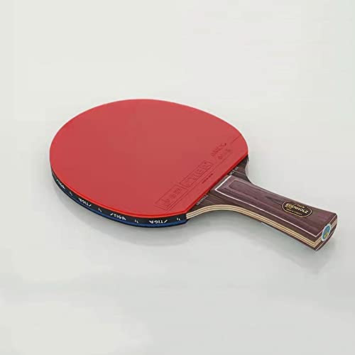 Ping Pong Pala de Ping Pong Regalos Adolescentes Mesa Ping Pong 5-Star Table Tennis Pro Carbon Ping Pong Bat, Negro/Rojo(Color:B1)