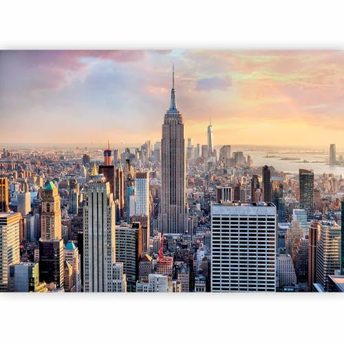 murando PREMIUM Carta da parati New York 200x140 cm Fotomurali in TNT Murale alla moda Decorazione da Muro XXL Poster Gigante Design Cameretta Carta per pareti Camera da Letto Manhattan Skyline
