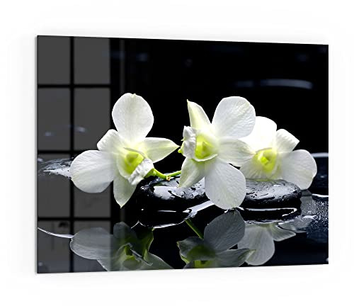 DEQORI Küchenrückwand Glas | Motiv Orchidee mit Zen-Steinen | 80x60 cm | Bad- oder Herd-Rückwand | Herdblende Spritzschutz für Küche & Badezimmer | moderne Deko für Fliesenspiegel
