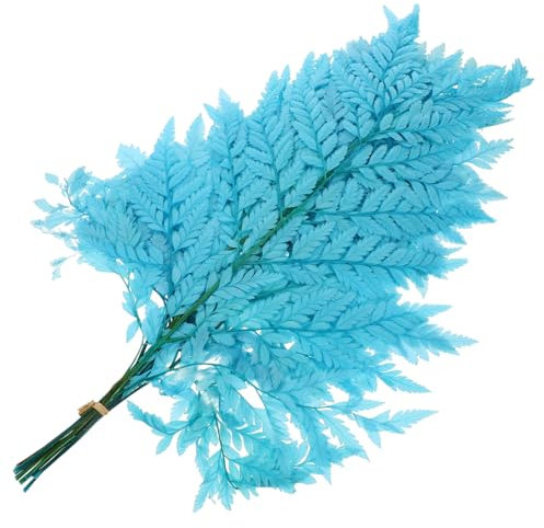 ULDIGI Getrocknete Pflanzendekor Pflanzenschmuck Farn-dekor Für Zuhause Pflanzendekor DIY Blumenarrangement Dekor Natürliche Getrocknete Pflanze Zum Basteln