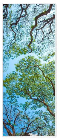 banjado® Magnettafel 30 x 75cm / Magnetwand aus Metall/Magnetpinnwand als Memoboard/Pinnwand Magnettafel Küche, Büro, Kinderzimmer inkl. 4 Magnete & Montageset - Motiv Zwischen Bäumen 2