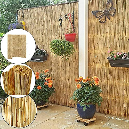 Abaseen Natural Reed Fence Hand-Woven Reed Screening for Garden Natural Window Roller Blind Outdoor Bamboo Shades for Garden Patio Gallery Balcony Decorative Fences