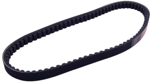 Keilriemen verstärkt 810x19mm kompatibel für GILERA Runner 50cc, Stalker, Storm, Typhoon X, Diesis