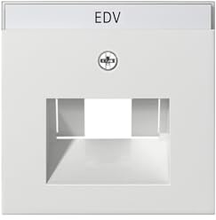 Gira Zentralplatte UAE/IAE rws 028427 m.Schriftf.,System55 System 55 Einsatz/Abdeckung für Kommunikationstechnik 4010337284277