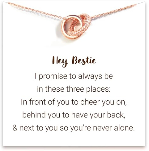 STORYJEWELLERY Friend Necklace, Friend Birthday Valentines Day Gifts for Women, Bestie Necklaces, Friendship Gifts for Women, BFF Gift, Friendship Jewelry, 925 Sterling Silver Interlocking Necklace
