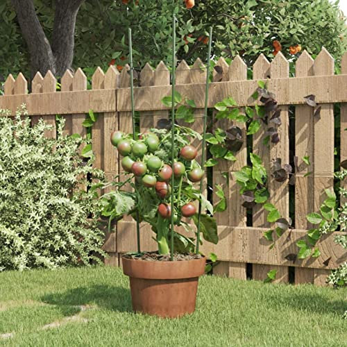 Tidyard Pflanzenstützen mit 3 Ringen 5 STK. Rankstäbe Bambusstäbe Rankhilfe Zimmerpflanzen und Pflanzen, Rankhilfe Garten, Pflanzstäbe Pflanzstab Pflanzenstab Rankstab Grün 60 cm Stahl