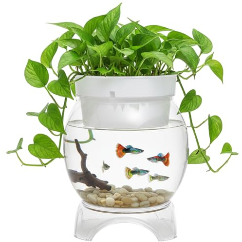 Réservoir de Poissons | Réservoir de Poissons aquaponique, Bol à en Plastique Transparent avec Support et jardinière, sain 1, 5 gallons pour Plantes d'aquarium