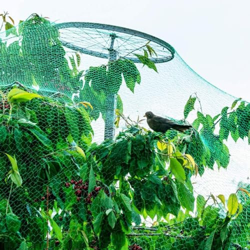 PanHuiWen Schutznetz Katzen Balkon Ohne Bohren GemüSeschutznetz Meterware HüHnernetz Maschenweite 1.5x1.5cm Teichnetz Vogelnetz Geflügelnetz Gartennetz,10x15m