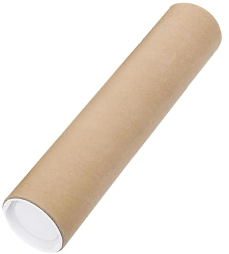 Ngbbby 2x20-Zoll-Versandröhren mit Kunststoff-Endkappen, stabile schützende Poster-Versandröhren, Papierersatzkarton