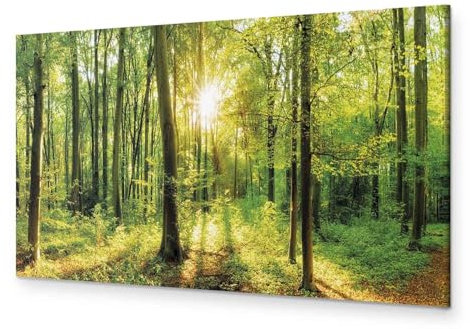 B&D XXL - Akustikbild Wald 150x50 cm 1 tlg Bilder Akustikschaum Schallschutz Kunst Akustikpaneele Wandpaneele Schalldämmung Wandbild Schallabsorber Waldlandschaft Natur Panorama c-B-0184-b-a