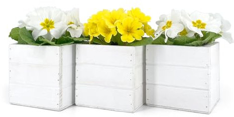 Vimin Box Set 3 Mini Cassette Quadrate 10x10x10 cm | Vasi per Piante Grasse con Interno in Plastica | Fioriere da Interno ed Esterno (Bianco)