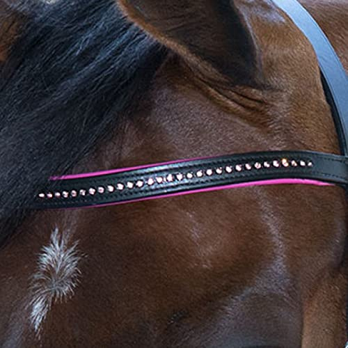 STAR Trensenzaum Diamond ENGL.Komb.