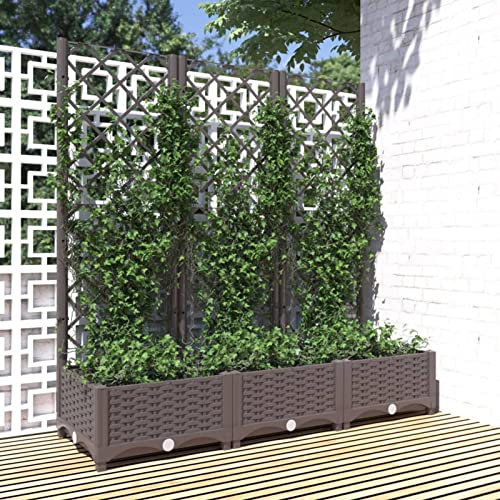 Yolola Pflanzkasten Mit Rankgitter Pflanzkübel mit Spalier Blumenkasten mit Rankgitter, Pflanzkasten für Kletterpflanzen, Hochbeet mit Spalier, Blumenkübel für Garten Braun 120 x 40 x 121,5 cm PP