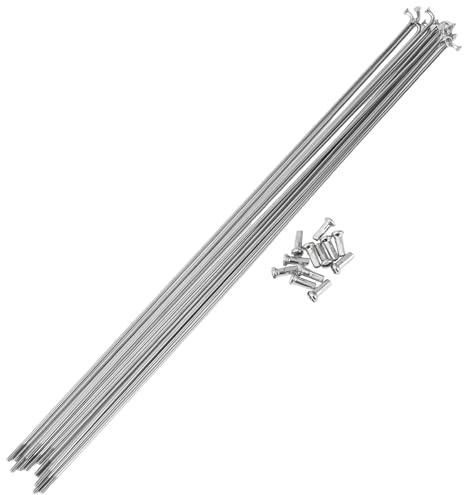 HEROFFIX Set da 12 Raggi per Bicicletta 14G, Raggi per Ruota Bici in Acciaio Inossidabile 304, tonalità Argento
