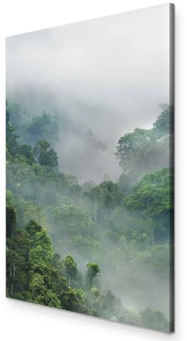 murando - Akustikbild Wald Bilder Akustikschaum Hochleistungsschallabsorber Schallschutz Leinwand 1 tlg Wandbild Raumakustik Schalldämmung Landschaft Natur c-B-0526-b-a