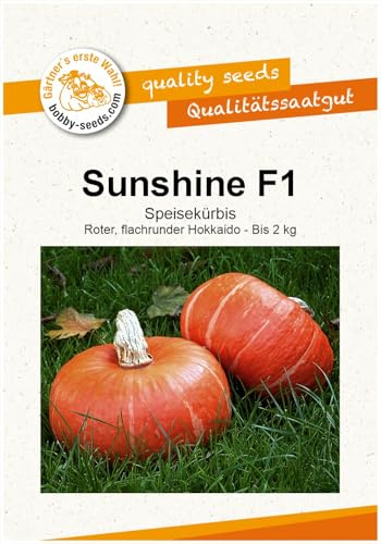 Sunshine (Sunny Hokkaido) F1 Kürbissamen von Bobby-Seeds Portion