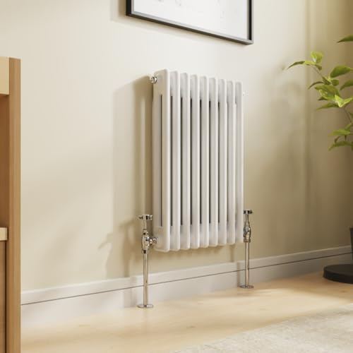 NRG 600x425mm Traditional Colosseum Cast Iron Radiator Gloss White 2 Panel | Central Heating Radiator, Wall Mounted, Column Radiator, Cast Iron, for Bathroom, Kitchen, Bedroom, Living Room