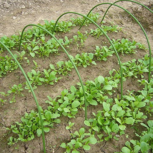 12 x Garten-Reifen, Gewächshaus-Reifen, langlebig, Pflanzentunnel-Unterstützung, Gewächshaus-Tunnel, Gartenarbeit, Pflanzrahmen für Garten (48 x 48 cm, 12 Stück)