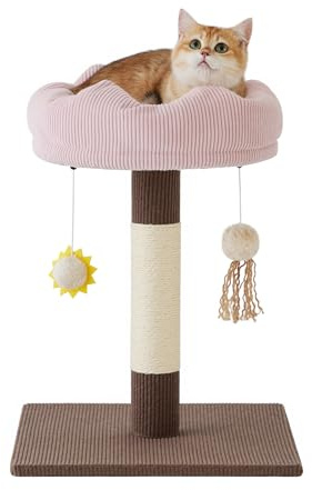 Gardner Pet Árbol para Gatos Pequeño, Altura 50 cm, Forma Redonda, Marrón | Diseñado para Gatitos, Juguetes Colgantes, Plataforma, Rascador, Pana