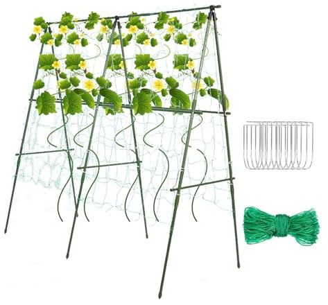Treillis pour raisins | Cadre de culture de fruits d'escalade, cadre de treillis avec clips, pour vignes, concombres, raisins, tomates, haricots, pois, légumes, fruits