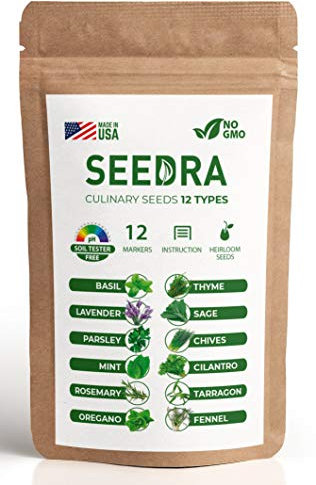 Nashi-Birne 'Nijisseiki' – Winterharter Birnenbaum 80-120 cm | Saftige, Süße Früchte | Selbstfruchtend