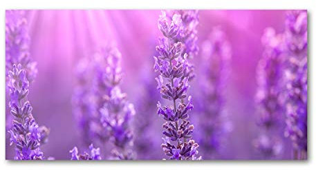 Tulup Leinwandbild - Wandkunst - Drucke auf Leinwand - Leinwanddruck -100x50 cm - Blumen & Pflanzen - Lila - Lavendel