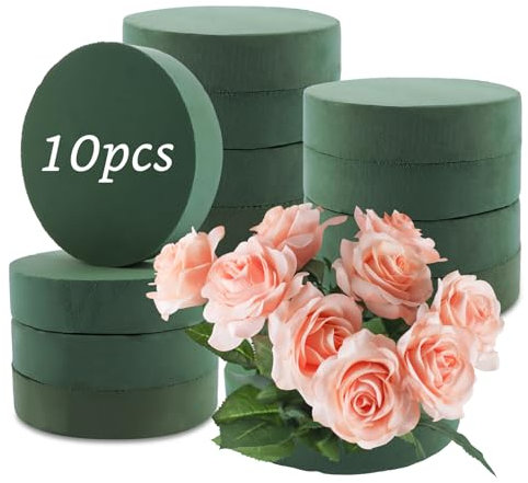 DAJAVE 10 pezzi Spugna per Fiori, Spugna per Fiori Rotonda 20 X4 cm, Pasta per fiori rotonda, Blocco Spugna Floreale Rotondi, Cilindro Spugna Floreali per fiori freschi, matrimoni, compleanni