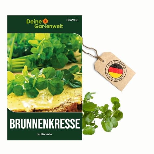 Brunnenkresse Kultivierte Samen - Nasturtium officinale - Brunnenkressesamen - Gemüsesamen - Saatgut für 1.000 Pflanzen – 3er Pack